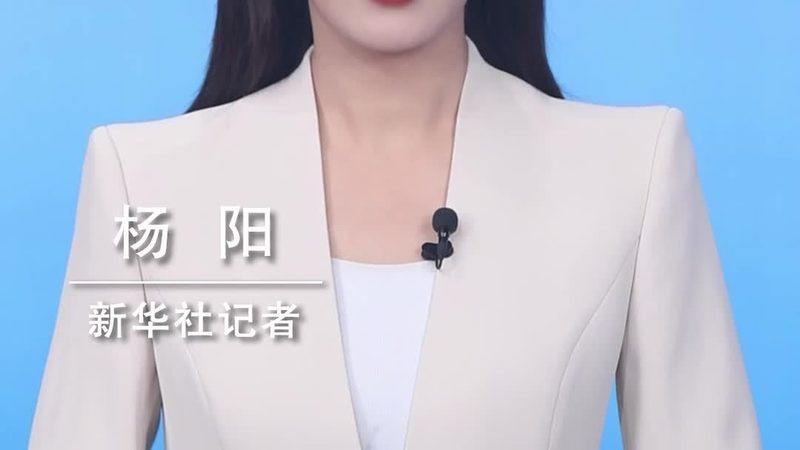 专业信息化建设：厂家定制服务的核心要素**